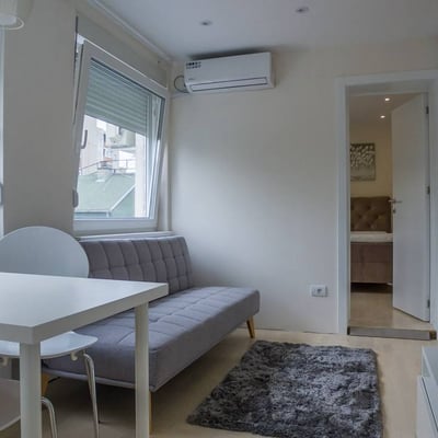 Rental of a cozy 3-room apartment, 50 m², Vračar, Belgrade, Serbia